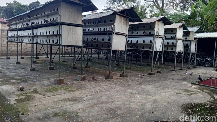 Rumah Mewah Umuh Muchtar di Sumedang