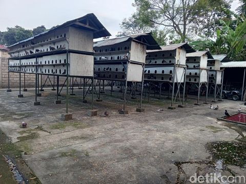 Rumah Mewah Umuh Muchtar di Sumedang