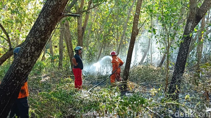 Tim Damkar Kulon Progo saat melakukan pendinginan di lokasi kebakaran, Kalurahan Jatirejo, Kapanewon Lendah, Kulon Progo, Jumat (21/6).