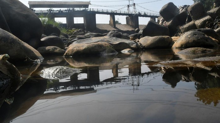 Sejumlah anak berjalan di jembatan Bendung Katulampa, Kota Bogor, Jawa Barat, Jumat (21/6/2024). Memasuki musim kemarau, Tinggi Muka Air (TMA) sungai Ciliwung di Bendung Katulampa, Bogor menyusut hingga 0 cm dari normal 10 ribu liter per detik menjadi 1800 liter per detik mengakibatkan pasokan air untuk saluran irigasi pertanian ke wilayah Jakarta, Bogor dan Depok kapasitasnya berkurang. ANTARA FOTO/Arif Firmansyah/Spt.