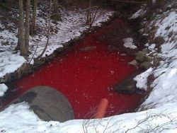 10 Foto yang Sebenarnya Biasa Aja, tapi Mungkin Bisa Bikin Merinding