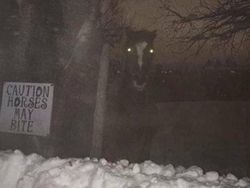 10 Foto yang Sebenarnya Biasa Aja, tapi Mungkin Bisa Bikin Merinding