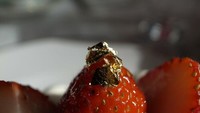 Trend ‘edible gold flakes’ atau serpihan kertas emas pada makanan dianggap membuang-buang uang karena rasanya tidak enak. Foto: Pool/Site