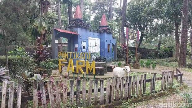 Area pameran hewan kini kosong di Punti Kayu.