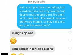 Deretan Chat Gagal Nyambung, Perkara Nggak Bisa Bahasa Enggres