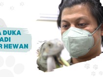 Mengulik Profesi Dokter Hewan yang Kerap Dipandang Sebelah Mata