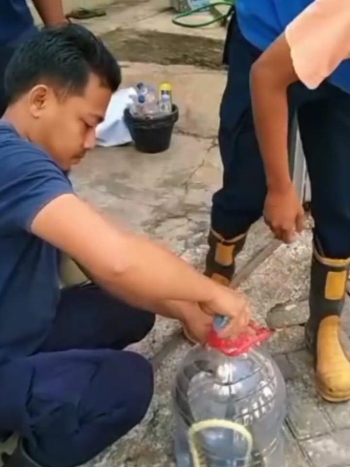 Petugas Damkar Gunungkidul saat mengevakuasi seekor ular macan di rumah warga Kalurahan Jeruksari, Kapanewon Wonosari, Kabupaten Gunungkidul, Sabtu (22/6/2024).