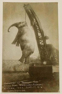 Foto Punya Cerita Mengerikan