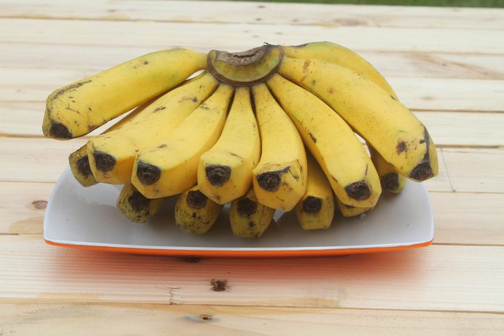 Jenis pisang buat kreasi jajanan