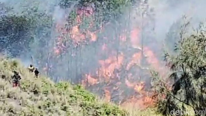 Kebakaran di Gunung Batok kawasan Bromo.
