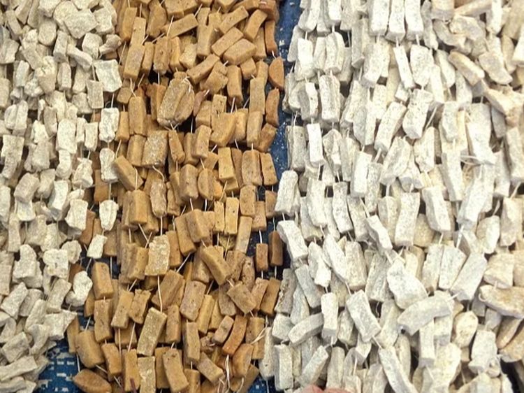 10 Keju Paling Ekstrem di Dunia, Pakai Belatung hingga ASI