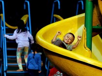 Perosotan Gajah Warna-warni yang Penuh Kenangan di Taiwan