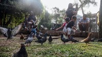 Sejumlah anak memberi makan burung di area taman kota Cibinong, Kabupaten Bogor, Jawa Barat, Jumat (21/6/2024).