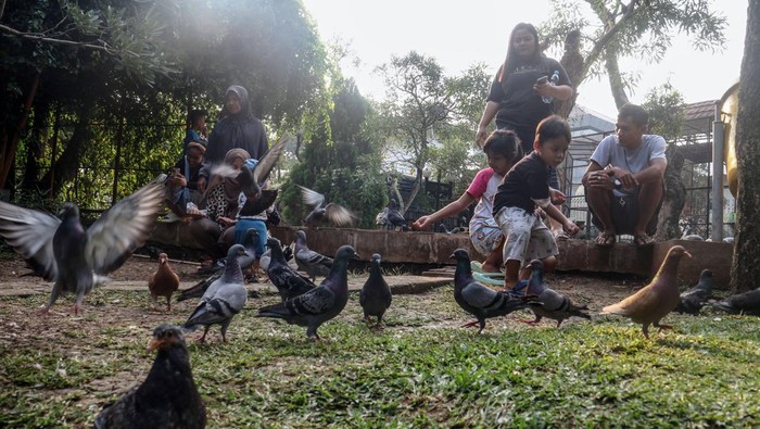 Seorang anak bermain perosotan di area taman kota Cibinong, Kabupaten Bogor, Jawa Barat, Jumat (21/6/2024). Menurut Pemerintah Provinsi Jawa Barat sebanyak 23 daerah dari 27 kabupaten dan kota yang ada di Jawa Barat telah berpredikat layak anak, pihaknya terus mendorong para bupati, wali kota serta  penjabat daerah untuk terus berupaya meningkatkan layanan dan kepedulian terhadap anak agar menjadikan Jawa Barat Provinsi layak anak. ANTARA FOTO/Yulius Satria Wijaya/foc.