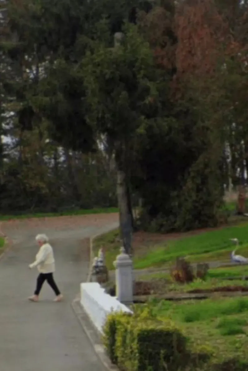 Kasus menghilangkan Paulette Landrieux, nenek berusia 83 tahun, sempat tak terpecahkan. Mendadak, kasusnya menemukan titik terang karena Google Street View.