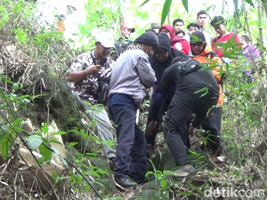 BPBD Lumajang Evakuasi Pendaki 57 Tahun yang Cedera di Gunung Lemongan