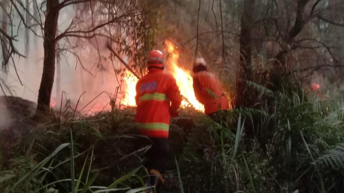 Proses pemadaman Gunung Batok dengan membuat sekat bakar.