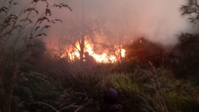 Proses pemadaman Gunung Batok dengan membuat sekat bakar.