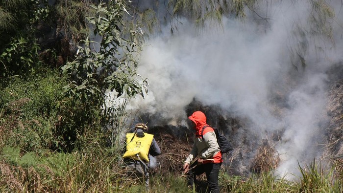 Proses pemadaman kebakaran di Gunung Batok kawasan Bromo.