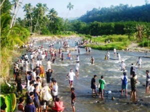 Lubuk Larangan, Sungai di Madina yang Ikannya Tak Boleh Diambil Sembarangan
