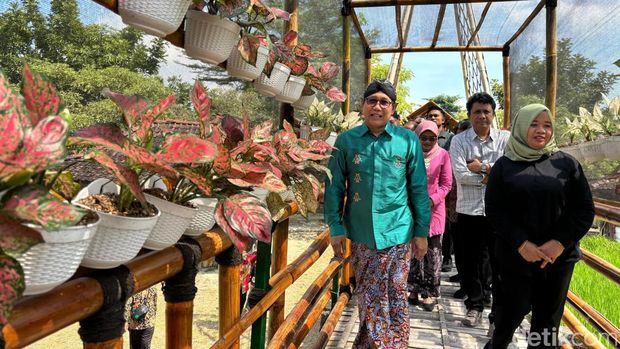 Menteri Desa Pembangunan Daerah Tertinggal dan Transmigrasi (PDTT) Abdul Halim Iskandar meresmikan Aglaonema Park di Tridadi, Sleman, Sabtu (22/6/2024).