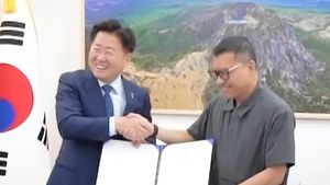 Potret Rumah Bak Istana Anang Hermansyah yang Jadi Duta Pulau Jeju