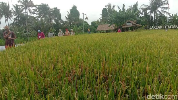 Satu Hari Menjadi Orang Bali di Desa Wisata Bakas Klungkung