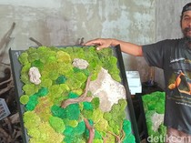 Seni Akuaskap Berbahan Lumut di Bali Diminati Pasar Asia dan Eropa