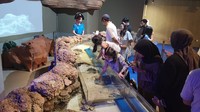 Di ujung area ini terdapat pusat suvenir dan juga area memegang ikan yang sangat diminati oleh anak-anak.