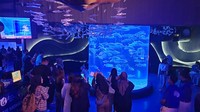 Fokus terbaru dari Jakarta Aquarium & Safari adalah menjadi lahan bermain terbaik bagi anak-anak. Diketahui bahwa anak-anak terlalu banyak menggunakan HP atau tablet di masa liburan. Tentu perlu solusi yang baik agar mereka bisa lepas dari gadget itu.