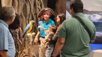 2.000 Orang per Hari Padati Wisata Akuarium Jakarta Ini