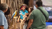 Tempat yang begitu ramai itu bernama Jakarta Aquarium & Safari. detikTravel berkesempatan mengeksplore semua fasilitasnya pada Minggu (23/6/2024). Nampak traveler berinteraksi dengan burung beo.