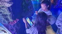 Anak-anak melihat keterangan hewan yang ada di akuarium melalui layar interaktif.