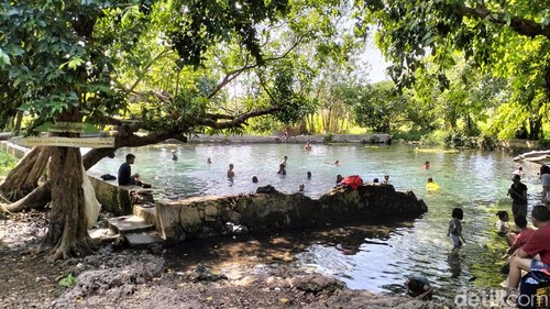 Kolam Air Sagu di Kelurahan Batuplat, Kecamatan Alak, Kota Kupang, Nusa Tenggara Timur (NTT). (Foto: Anastasya Evlynda Berek/detikBali)