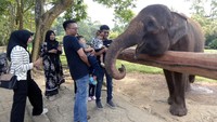 Pengelola Taman Margasatwa Lembah Hijau mencatat dalam sehari saat musim libur sekolah pengunjung yang berwisata di kebun binatang tersebut mencapai 1.000 orang. 