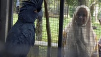 Para pengunjung memanfaatkan waktu liburan sekolah untuk berkunjung ke Taman Margasatwa.