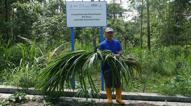Peternak sapi perah