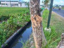 Korban Laka di Jalan Samas Lapor Polisi, Ngaku Sempat Dikeroyok Dikira Klitih