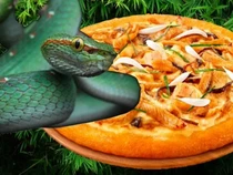5 Makanan Ini Diracik dengan Daging Ular, Pizza hinggs Abon
