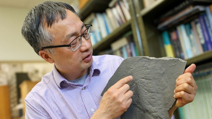 Ahli geobiologi Virginia Tech Shuhai Xiao dan kolaboratornya melaporkan fosil bunga karang berusia 550 juta tahun,