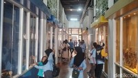 Museum ini buka setiap hari Selasa-Minggu dari pukul 09.00 hinga 15.00 WIB, biaya yang harus dikeluarkan untuk masuk ke Museum Wayang ini sebesar Rp 10.000 untuk dewasa (weekday) dan Rp 5.000 untuk anak-anak (termasuk pelajar hingga mahasiswa). Dan untuk weekend harga untuk anak-anak masih sama, lalu untuk dewasa menjadi Rp 15.000, sementara untuk pengunjung luar negeri dikenakan biaya Rp 50.000.  