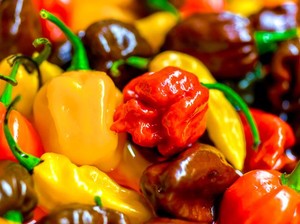 Ini 7 Cabai Terpedas di Dunia yang Pedasnya Bisa Bikin Lidah Terbakar