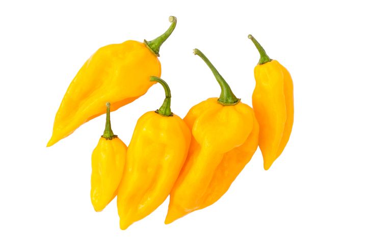 Cabai Terpedas di Dunia