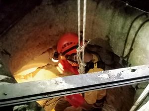 2 Biawak Nyemplung Sumur di Playen Terungkap gegara Air Bau
