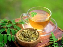 7 Manfaat Daun Kelor Buat Kesehatan, Superfood Khas Indonesia!