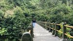 Pesona Jembatan Plunyon Kalikuning di Lereng Merapi