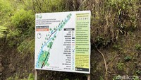 Sejak tahun 2016, Plunyon Kalikuning mulai dikelola oleh Taman Nasional Gunung Merapi (TNGM) dan pengunjung dikenakan tiket masuk.  