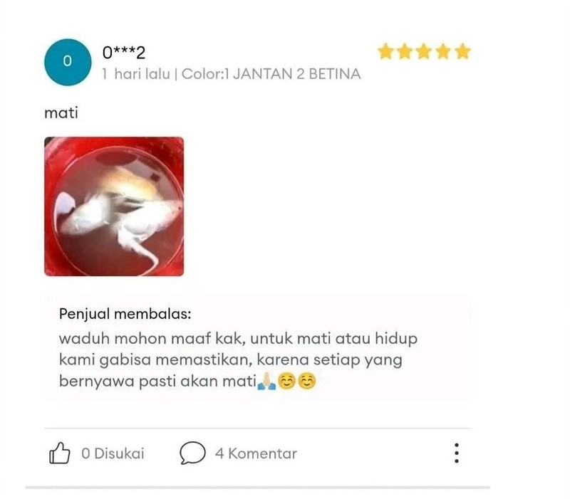 Namanya juga hidup, nggak selamanya mulus. Di internet juga begitu, kadang bisa ditimpa kesialan juga.