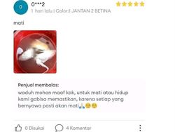 Kumpulan Cerita Sialku di Internet, yang Sabar ya Bro!