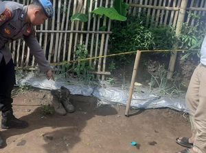 Granat Nanas Meledak di Garut, 4 Warga Terluka